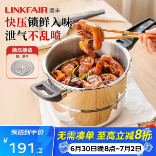 凌丰 凌帕高压锅 6L 22cm