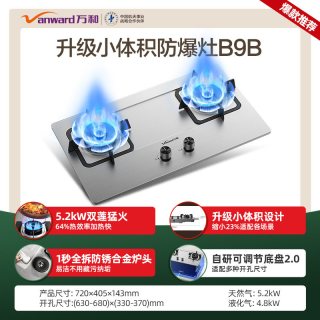 移动端：万和 [焕新补贴]万和燃气灶煤气灶家用双灶天然气液化气不锈钢灶台B9S