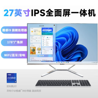 BOLUNSHUAI 一体机电脑27英寸8核酷睿i9商务办公家用学习一体式 i5 2520 16G/512G