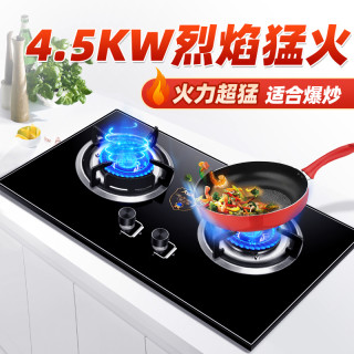 欢呼好太太 燃气灶灶X01天然气