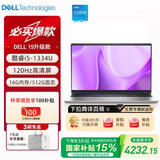 戴尔 灵越15新款 DC15250 15.6英寸高性能AI轻薄笔记本电脑 轻薄本 家用学习网课 商务办公本+包鼠套装