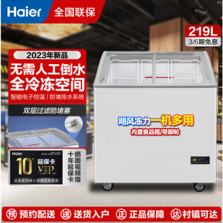 海尔 商用冷冻柜SD-219HZE