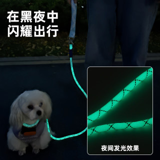 金纵 狗狗宠物牵引绳大型犬防爆冲夜光外出遛狗专用狗绳猫咪p绳浅黄色M