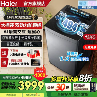 海尔 双动力防缠绕波轮洗衣机13KG全自动家用大容量 精华洗直驱变频一级能