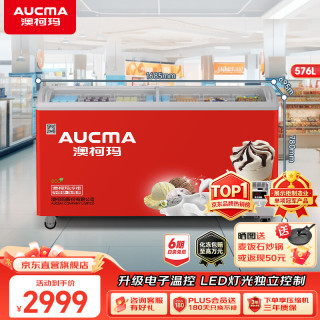 澳柯玛 商用卧式大容量冰柜