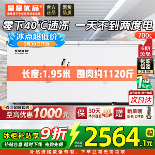 星星 700升单温冰柜商用冷藏冷冻两用卧式冰箱大容量雪柜速冻保鲜柜节能-40℃冷冻柜BD/BC-700C/U