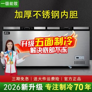 北极川 冰柜商用智能温控卧式大容量冷柜家用冷藏冷冻展示柜冰箱保鲜柜雪糕柜