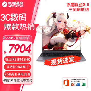 机械革命 蛟龙16Pro R9-8945HX RTX5060 16G+512G 灰色 笔记本电脑