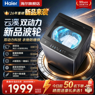 海尔 10kg双动力防缠绕新品波轮洗衣机直驱变频全自动大容量洗衣机