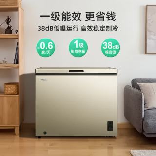 美菱 200升单温家用商用两用冷柜低霜一级能效冷藏柜冷冻柜 BC/BD-200DTX-炫金 200L