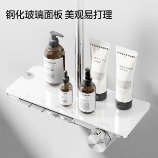 Panasonic 恒温淋浴花洒套装 E8 增压可升降琴键 全铜 银白色