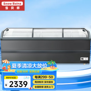 雪贝娜 商用大容量雪糕柜冰柜冰淇淋圆弧玻璃门冷冻透明展示柜 2.5米高端智控款