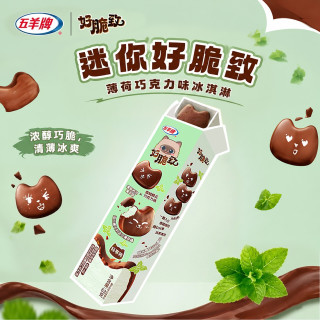 五羊牌 Wuyang 五羊牌 迷你薄荷巧克力味脆皮冰淇淋 63g*6粒