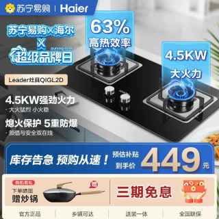 海尔 统帅天然气燃气灶JZT-QIGL2D(12T)