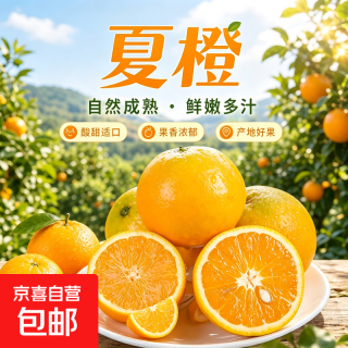 京喜自营-专用品牌 阳光果味 纽荷尔脐橙 70mm+ 8.5斤 带箱