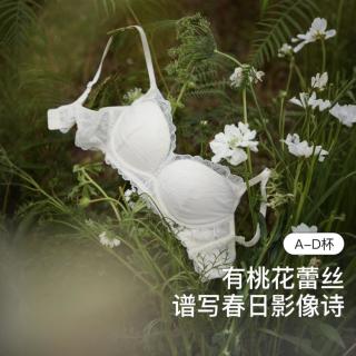 Ubras 夏季高级感轻薄聚拢文胸大胸显小提拉收副乳内衣女