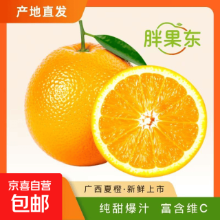 广西阳朔夏橙 2.25kg 带箱5斤 小果55mm+