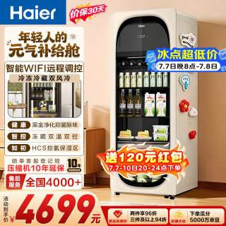 海尔 229升双温风冷冰吧家用冷藏柜保鲜柜办公室客厅小冰箱饮料水果小冰柜LC-229WL