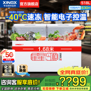 星星 冰柜商用400升/500升大容量全冷冻家用大冷柜卧式单温冰箱雪糕柜冷冻冷藏两用岛柜