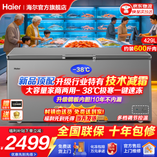 海尔 冰柜商用大容量家用冷柜冷藏冷冻两用300升以上一级能效