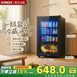 星星（XINGX）冰吧冷藏柜保鲜柜家用客厅办公室小型冰箱冰吧