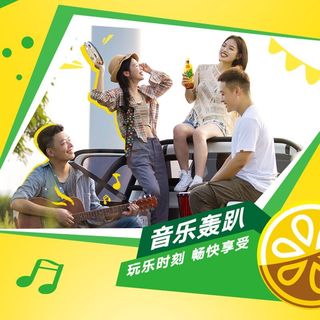 维他 0糖低糖 柠檬茶 500ml*12瓶
