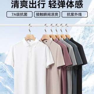 鸭鸭羽绒服 时尚简约 男士Polo衫