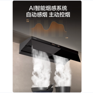海信 大薄荷顶侧一体变频30立方大吸力 CXW-180-E5 年度机王