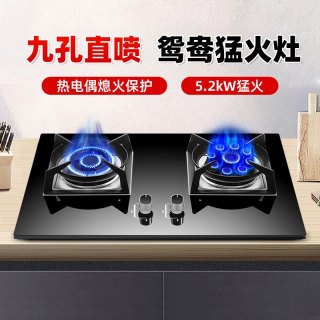 欢呼好太太 鸳鸯九腔大火力节能燃气灶天然气A199