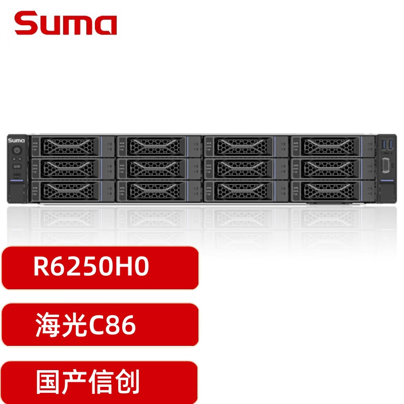 中科曙光 R6250H0 海光7470处理器 128G内存 2*960G+3*8T硬盘 2U机架式服务器