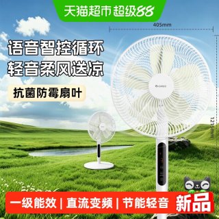 格力 电风扇一级能效家用直流变频节能大风遥控落地扇卧室轻音风扇