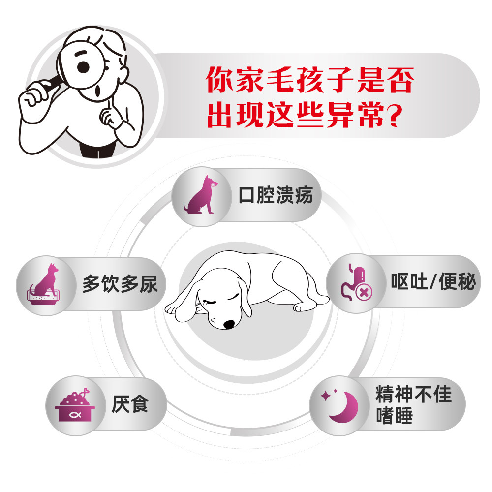 皇家 成犬早期肾病全价处方粮 狗粮