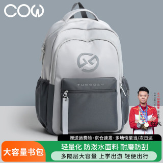COW 男士通勤双肩包 C-SJ412 大容量16寸电脑包