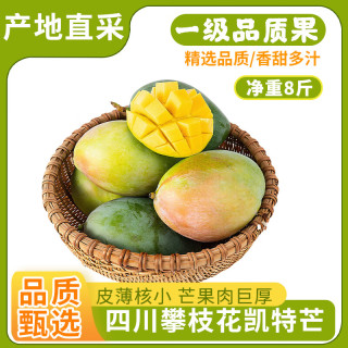 京鲜生 攀枝花凯特芒果 净重3斤 单果300g+ 生鲜水果 源头直发 凯特芒3斤单果300g+