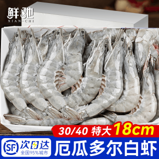 鲜驰 王牌大虾鲜活速冻超大基围虾海虾厄瓜多尔盐冻白虾南美对虾类海鲜