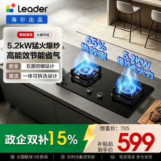 Leader 懒人系列家用燃气灶T3-U9 5.2kw大火力64%高热效 烟灶联动 上门安装台嵌两用