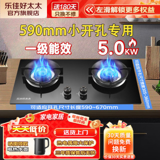 乐佳好太太 590mm小开孔600mm小尺寸家用燃气灶双灶猛火灶