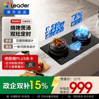 Leader V1懒人系列家用燃气灶V1D 5.2kw大火力72%高热效 联动180min定时