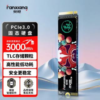 梵想 国潮系列 S500 PRO NVMe M.2 固态硬盘 256GB PCI