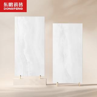 东鹏 冰川玉 400x800瓷砖卫生间厕所墙面地砖厨房墙砖简约纯色地板砖 冰川玉S