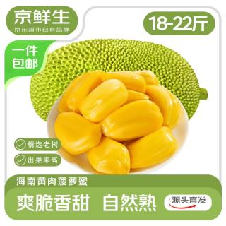 京鲜生 海南老树菠萝蜜 18-22斤装 一整个 生鲜 新鲜水果 源头直发