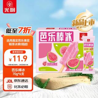 光明牌 Bright 光明 仙居 一枝杨梅棒冰 70g*5支
