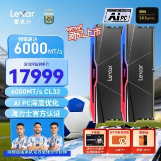 雷克沙 DDR5 6000 128GB(64GB×2)套条 电竞RGB灯条内存条 CL32 海力士颗粒 ARES战神之刃二代 黑色