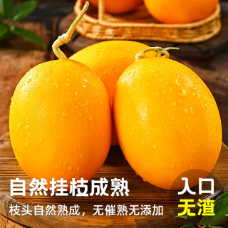 当季甘肃民勤蜜瓜新鲜甜瓜哈密瓜甜瓜脆甜多汁大果水果新鲜一整箱