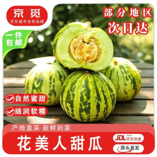 京觅 山东头茬 &花美人甜瓜 净重 &3斤中果 单果250g+新鲜水果源头直发 &包邮