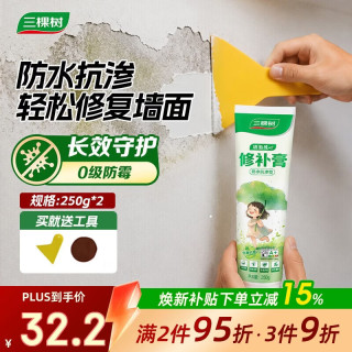 三棵树 DS-SCA500 防水抗渗修补膏 250G*2支 白色