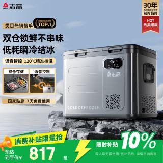 志高 A39 车载冰箱 45dB 55W