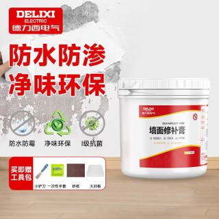 德力西 补墙膏墙面修补膏腻子粉白色墙面修补内墙乳胶漆防水防渗1000g