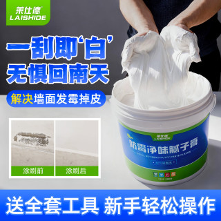 莱仕德 补墙膏墙面修补腻子膏白色防水防潮防霉乳胶漆内墙修复家用腻子粉