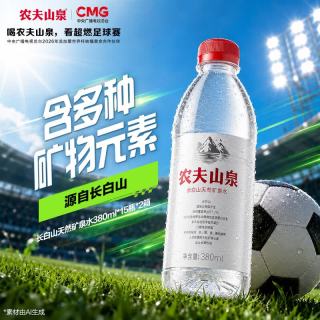 农夫山泉 长白山天然矿泉水 380ml*15瓶*2箱